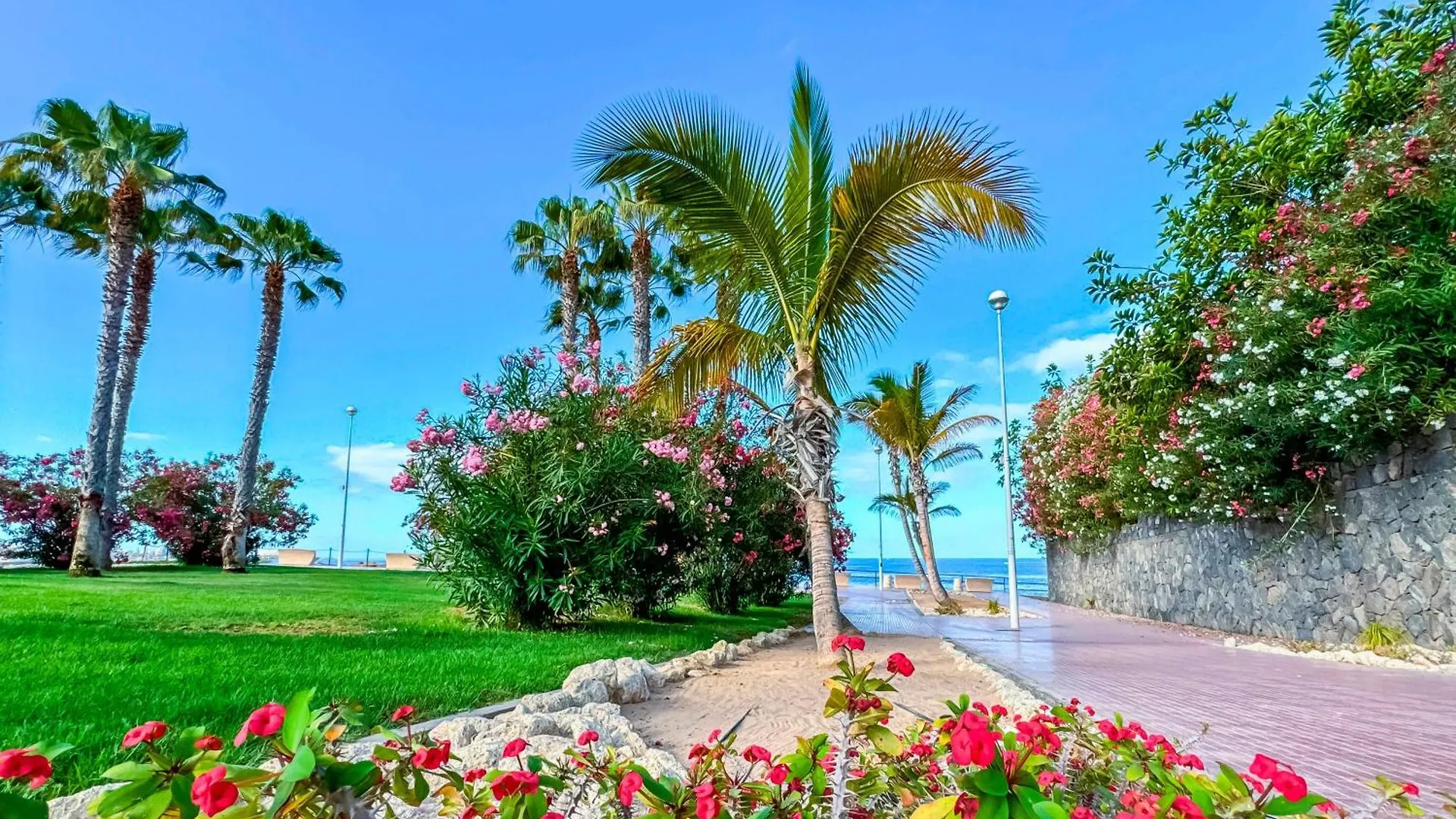 Apartamentos Parque Del Sol Costa Adeje  Aparthotel Costa Adeje (Tenerife)